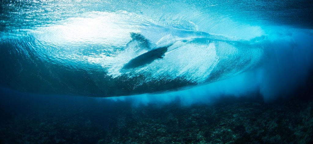 We Surf, We Care